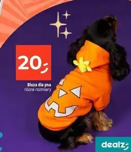Dealz Bluza dla psa oferta