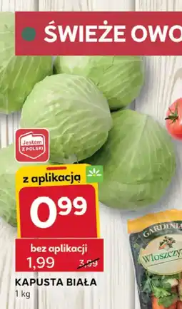 Stokrotka Optima Kapusta biała oferta