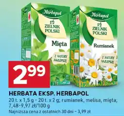 Stokrotka Optima Herbata eksp. herbapol oferta