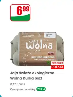 Dino Jajka świeże ekologiczne 6 szt. Wolna Kurka oferta