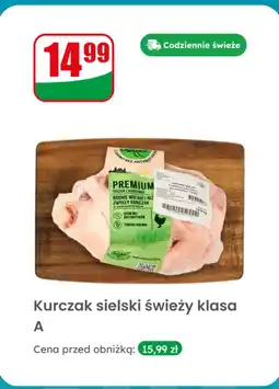 Dino Kurczak sielski świeży klasa A Dino oferta