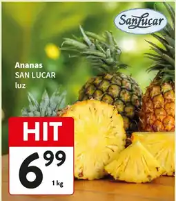 Intermarche Ananas SAN LUCAR luz oferta