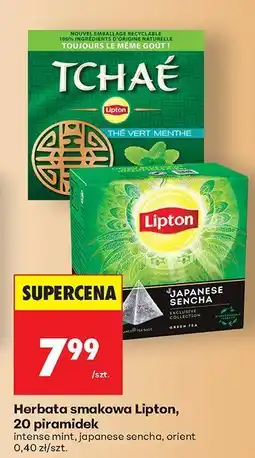 Biedronka Herbata smakowa intense mint Lipton oferta