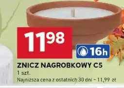 Stokrotka Optima Znicz nagrobkowy c5 oferta