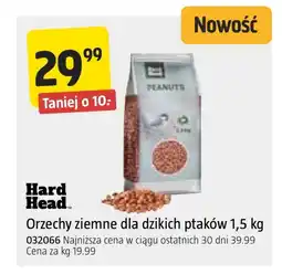 Jula Orzechy ziemne Hard Head oferta