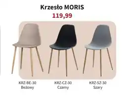 Meble Bodzio Krzesło oferta