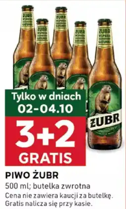 Stokrotka Optima Piwo żubr oferta