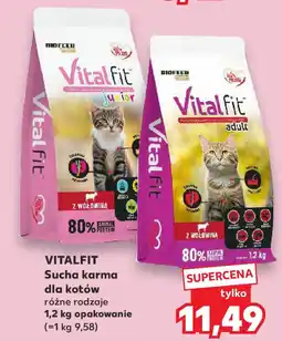 Kaufland VITALFIT Sucha karma dla kotów oferta