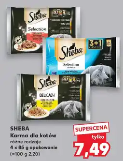 Kaufland SHEBA Karma dla kotów oferta