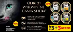 Kaufland SHEBA Karma dla kotów oferta