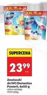 Biedronka Zawieszki do wc ocean Domestos Power5 oferta