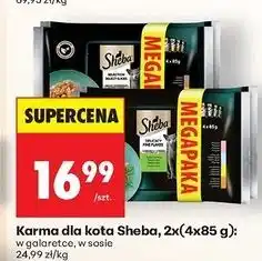 Biedronka Karma dla kota z kurczakiem w sosie Sheba Selection oferta
