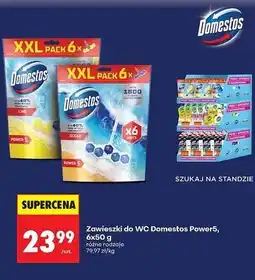 Biedronka Kostka do wc ocean Domestos Power5 oferta