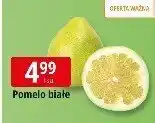 E.Leclerc Pomelo białe 1 szt. Leclerc oferta