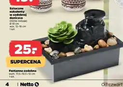 Netto Fontanna Netto oferta