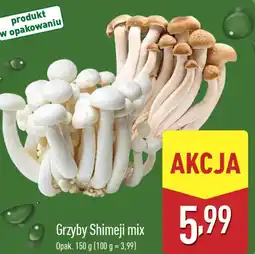 ALDI Grzyby Shimeji oferta