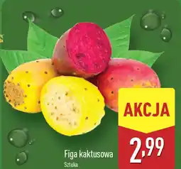 ALDI Figa kaktusowa oferta