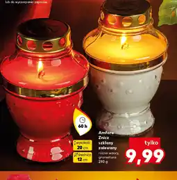 Kaufland Znicz Amfora oferta