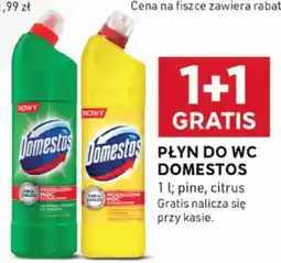 Stokrotka Optima Płyn do wc domestos oferta