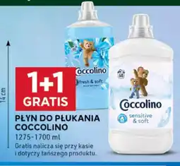 Stokrotka Optima Płyn do płukania coccolino oferta