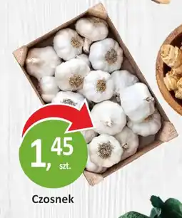 Passa Czosnek oferta