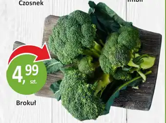 Passa Brokuł oferta