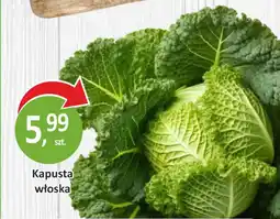 Passa Kapusta włoska oferta