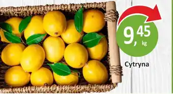 Passa Cytryna oferta