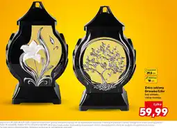 Kaufland Znicz szklany Drzewko/Lilia oferta