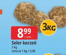 E.Leclerc Seler korzeń oferta