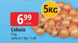 E.Leclerc Cebula żółta oferta