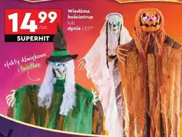 Biedronka Wiedźma, kościotrup lub dynia LED oferta