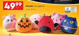 Biedronka Pluszak rozciągliwy oferta