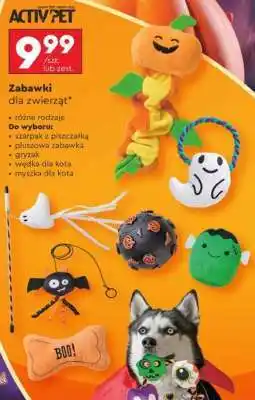 Biedronka Zabawki dla zwierząt oferta