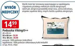 E.Leclerc Poduszka viking 70 x 80 cm Amw oferta