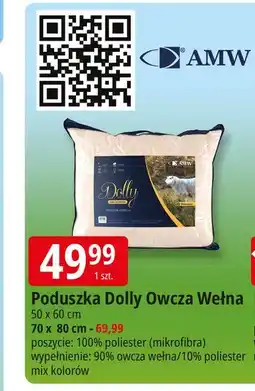 E.Leclerc Poduszka dolly 70 x 80 cm Amw oferta