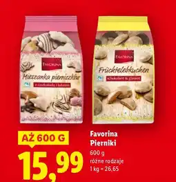 Lidl Pierniki różne rodzaje Favorina oferta