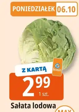 E.Leclerc Sałata lodowa oferta