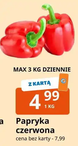 E.Leclerc Papryka czerwona oferta