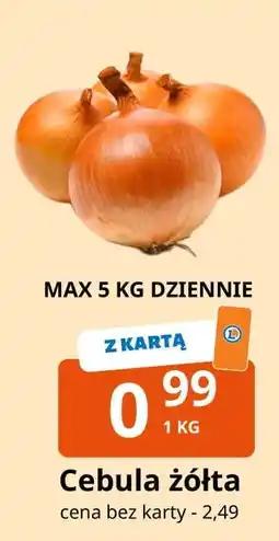 E.Leclerc Cebula żółta oferta