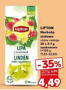 Kaufland Herbata ziołowa różne rodzaje 20x2g opakowanie Lipton oferta