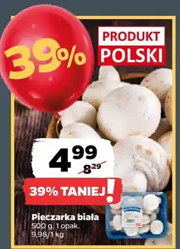 Netto Pieczarka biała 500 g Netto oferta