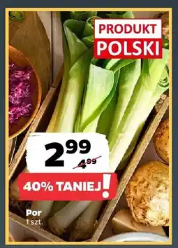 Netto Por 1 szt. Netto oferta