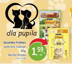 Passa Saszetka Friskies Nestle Polska oferta