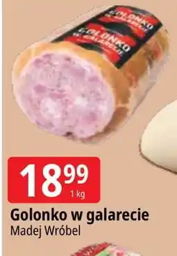 E.Leclerc Golonko w galarecie Madej & Wróbel oferta