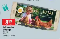 E.Leclerc Jaja z wolnego wybiegu kl. l Top Jaj oferta