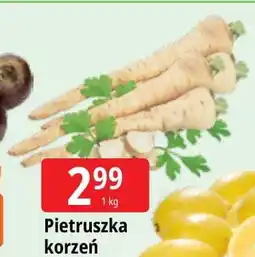 E.Leclerc Pietruszka korzeń oferta