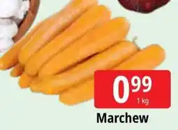 E.Leclerc Marchew oferta