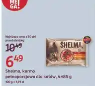 Rossmann Karma dla kota kurczak wołowina indyk i kaczka Shelma oferta