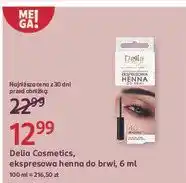 Rossmann Henna do brwi ekspresowa czarny Delia Eyebrow Expert oferta